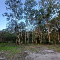 Photo by Christopher B.