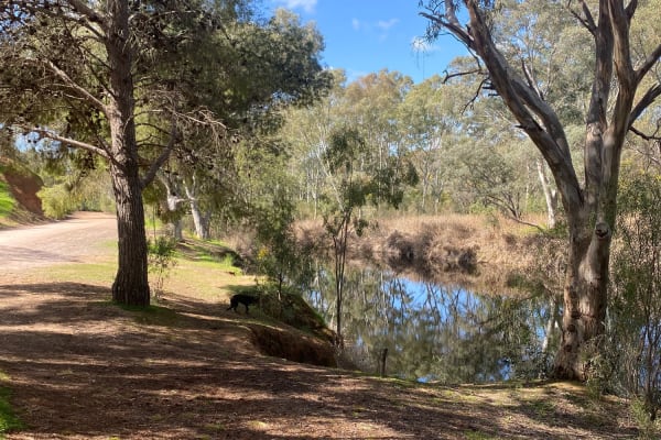 Photo by Federico s.