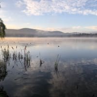 Photo by Nott Chutima Phayungporn