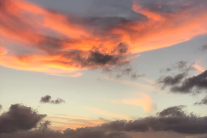 Photo by Samantha M.