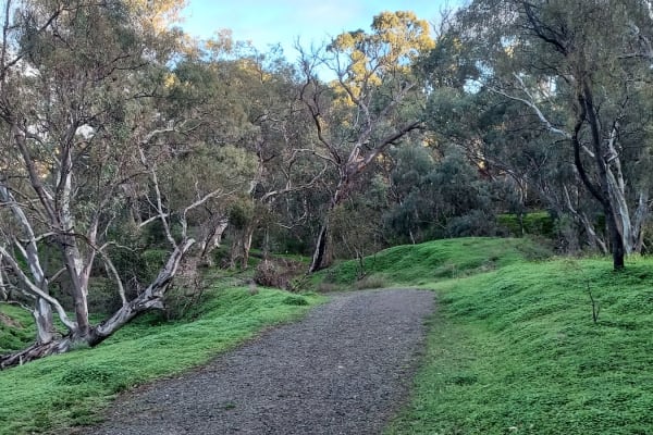 Photo by Nickolas S.