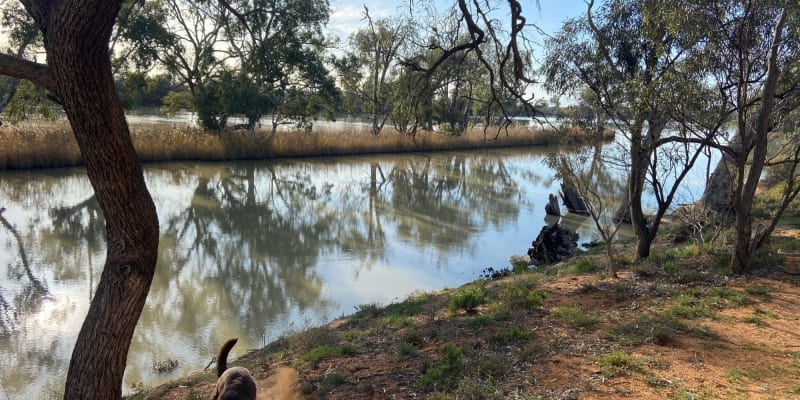 Photo by Daniela Olivera Bermudez