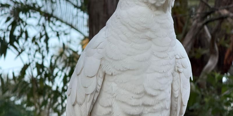 Photo by Erwin Van Den Bosch