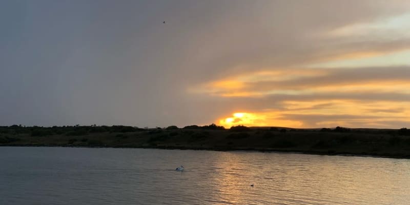 Photo by Brucethegoose