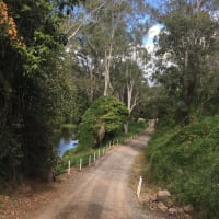 Photo by Madeleine K.