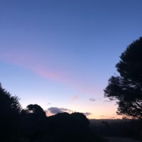 Photo by Jizelle 🌻.