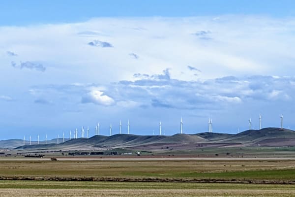 Photo by Kristine P.