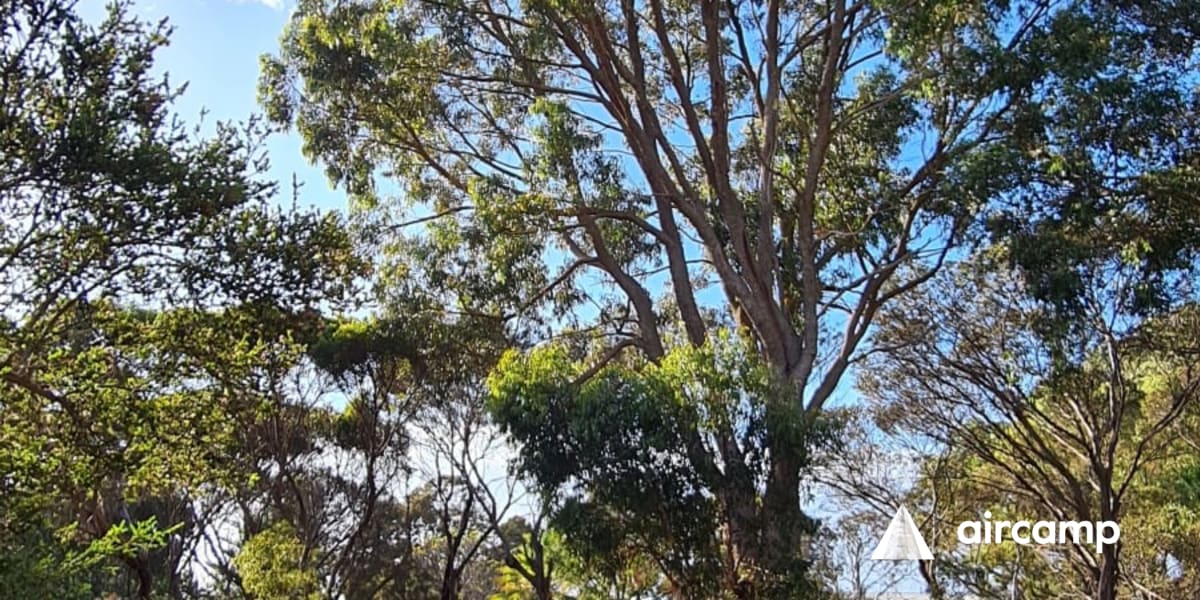 Pine Grove Holiday Park