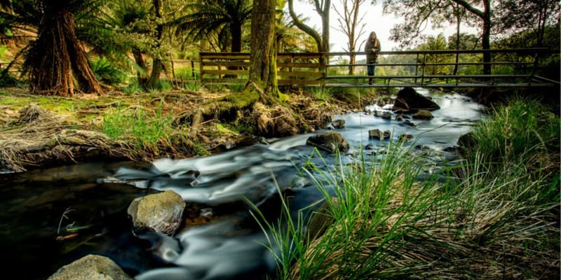 Photo by Guest.Relations