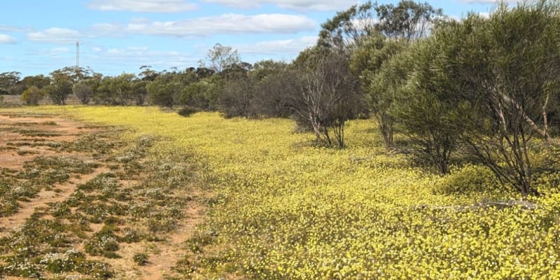 Photo by IndianOceanGuy