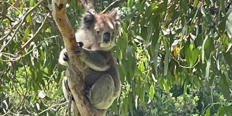 Photo by Happy Hour Hunters