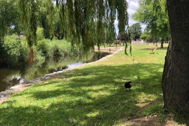 Photo by Brucethegoose