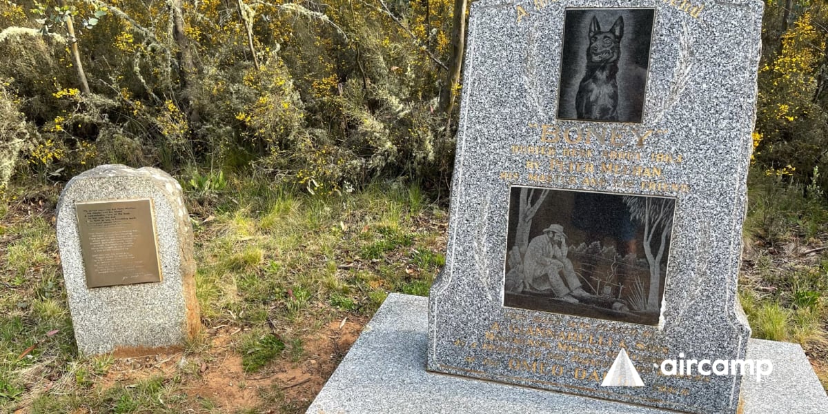 Dogs Grave