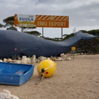 Photo by Colin van den Hoff