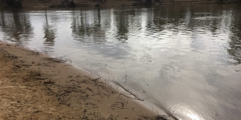 Photo by Karen Ann Richardson