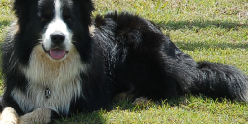 Photo by Gary & Tamara Maile