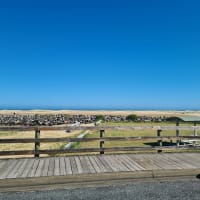 Photo by Michelle S.