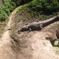 Photo by Christine B.