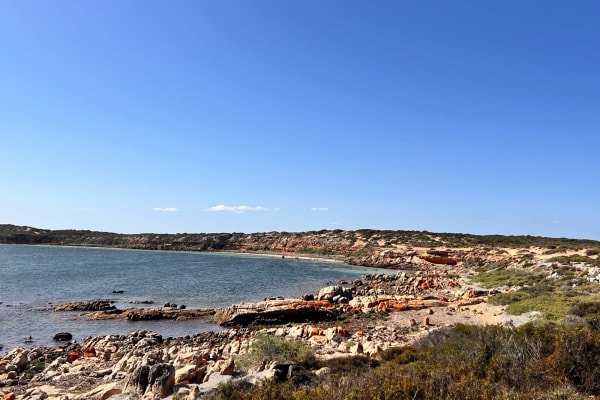 Photo by Chelsea and Jye