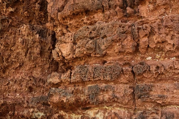 Photo by WANDERINGAUST