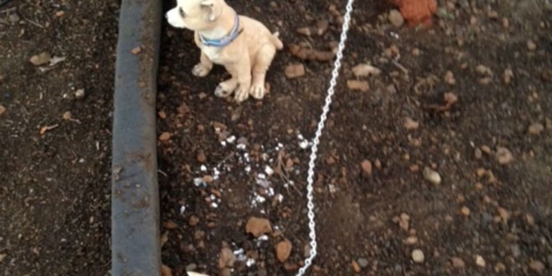 Photo by Rolleston Caravan Park