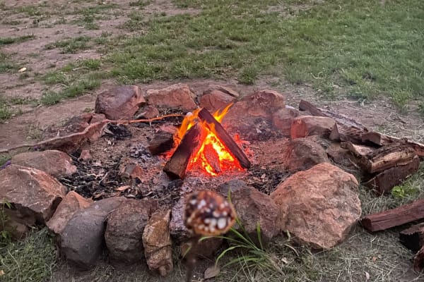 Photo by Elizabeth L.