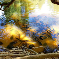 Photo by My Rig Adventures