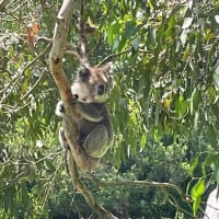 Photo by Happy Hour Hunters