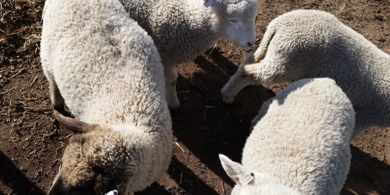 Photo by Jenni-Dawn B.