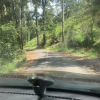 Photo by Henry Thiệp Lê