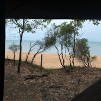 Photo by WANDERINGAUST