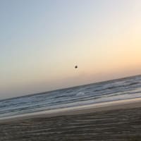 Photo by Genevieve W.