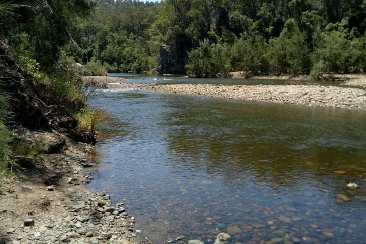 Photo by ChickadelaNaranja