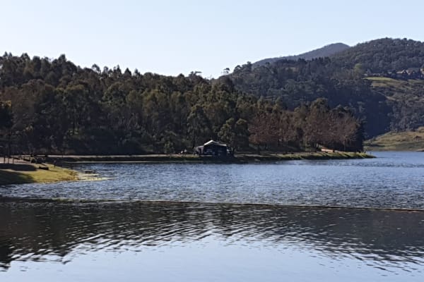 Photo by Michelle S.