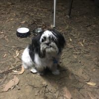 Photo by Harry James Nosaran