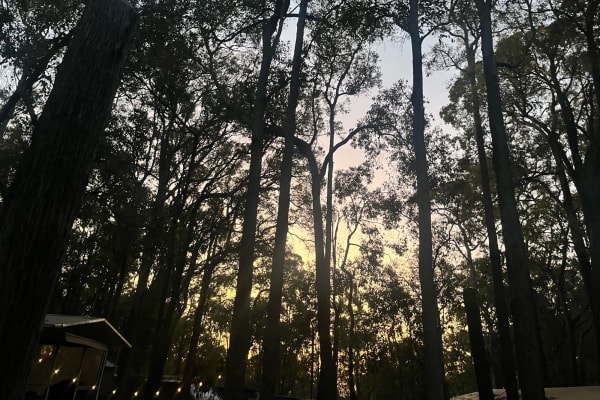 Photo by Katherine S.