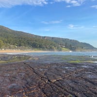 Photo by Marjolein R.