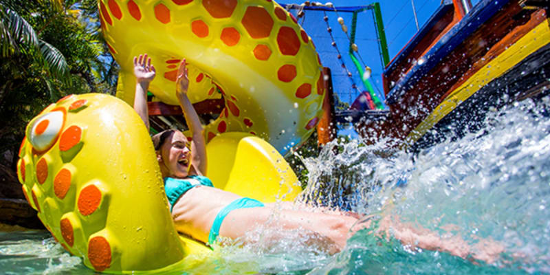 Photo by Marketing T.