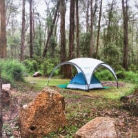 Photo by Theo Janse van Nieuwenhuizen