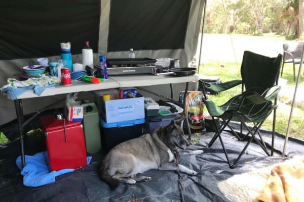 Photo by Jodie Roadster Campny