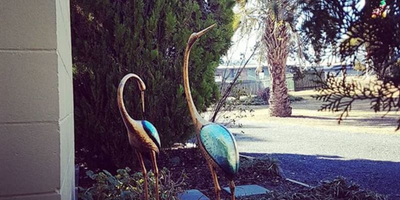 Photo of Rose City Caravan Park