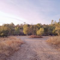 Photo by My Rig Adventures