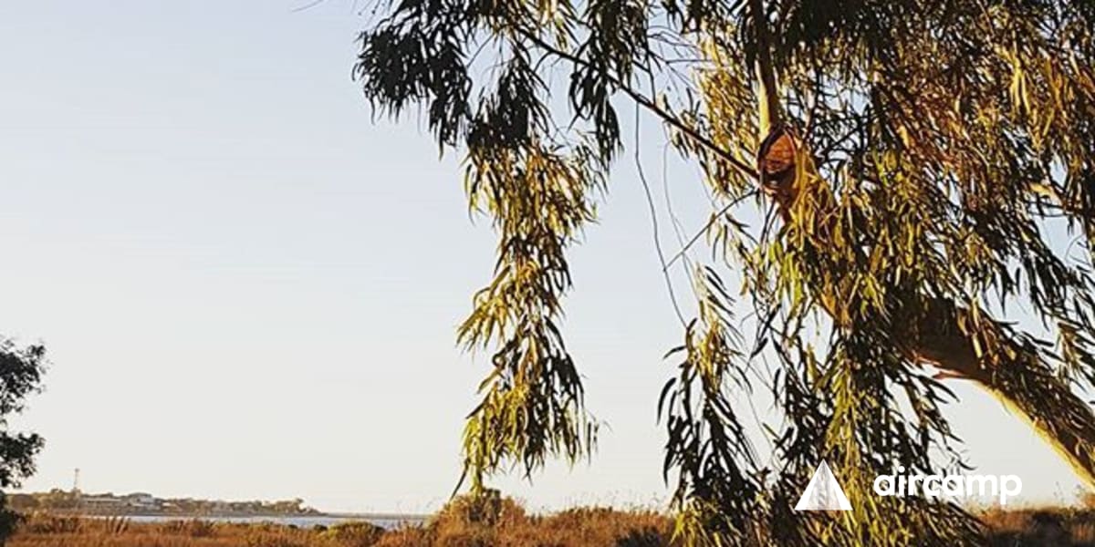 Discovery Parks - Onslow