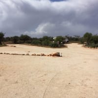 Photo by Kim & Shane