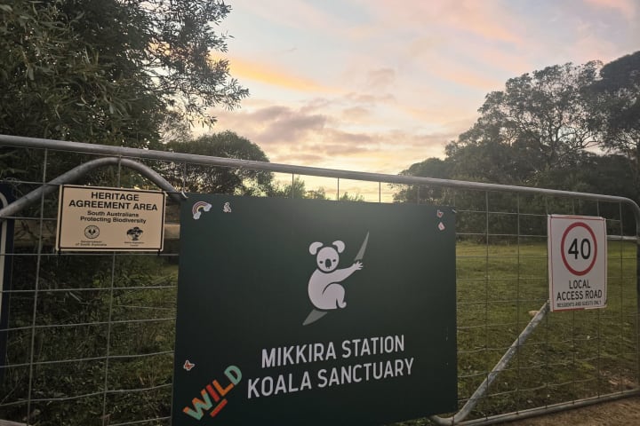 Photo by Helen de la Perrelle