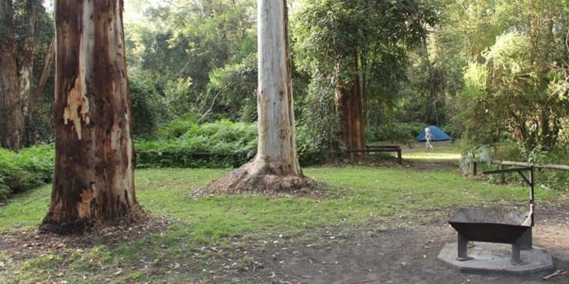 Photo of Mill Creek campground