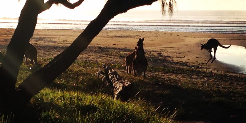Photo of Lake Arragan and Red Cliff campgrounds