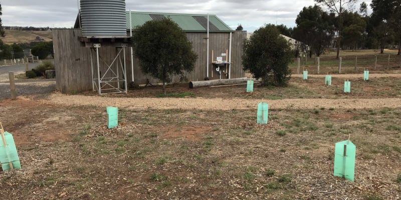 Photo by Christie M.