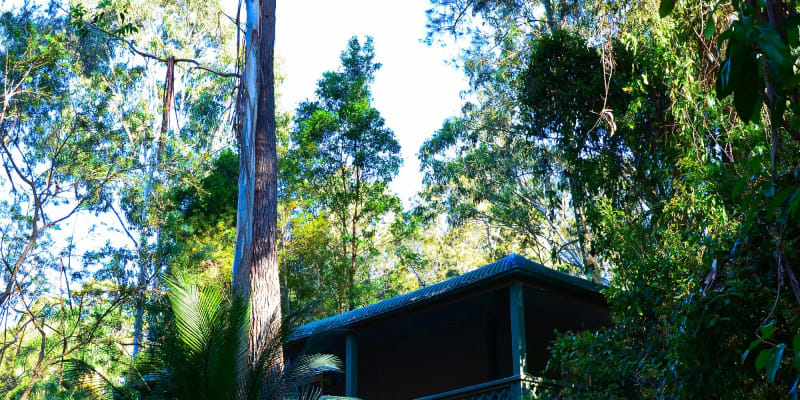 Photo by Hidden Creek Campsite