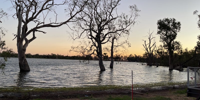 Photo by Caroline P.